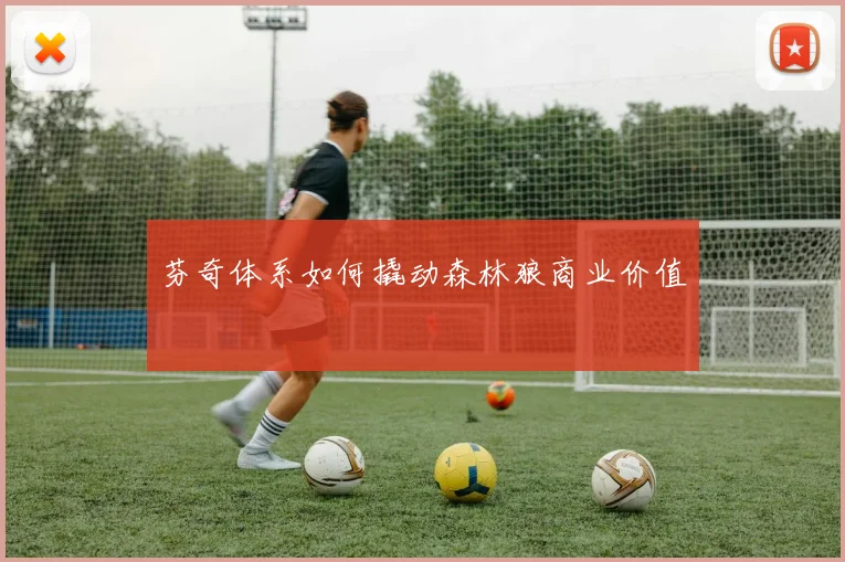芬奇体系如何撬动森林狼商业价值