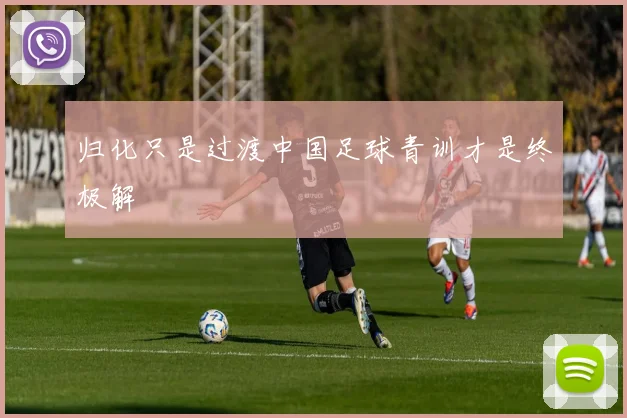 归化只是过渡中国足球青训才是终极解