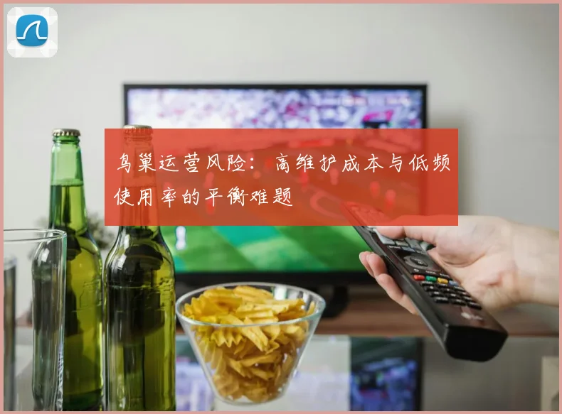 鸟巢运营风险：高维护成本与低频使用率的平衡难题