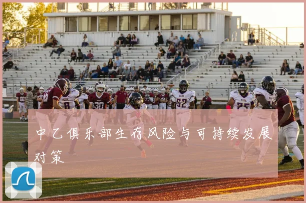 中乙俱乐部生存风险与可持续发展对策