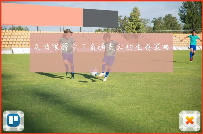 足协限薪令下南通支云的生存策略