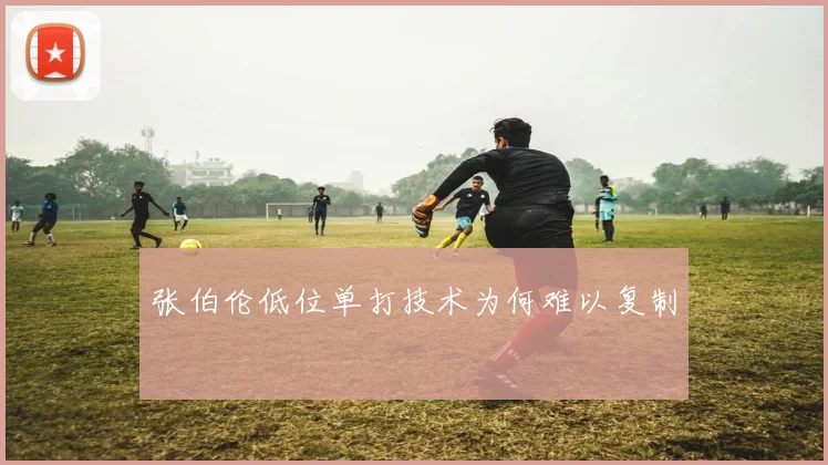 张伯伦低位单打技术为何难以复制