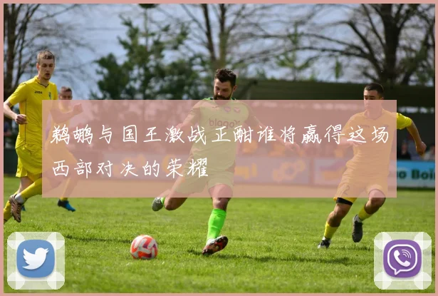 鹈鹕与国王激战正酣谁将赢得这场西部对决的荣耀